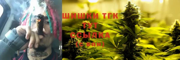 PSILOCYBIN Кукмор