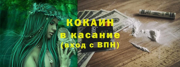 PSILOCYBIN Кукмор
