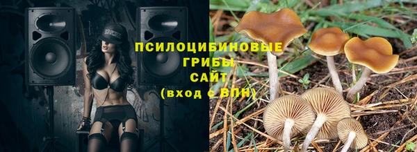 стафф Кулебаки