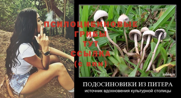 спиды Куйбышев