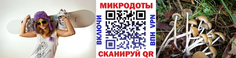 Галлюциногенные грибы прущие грибы Сунжа