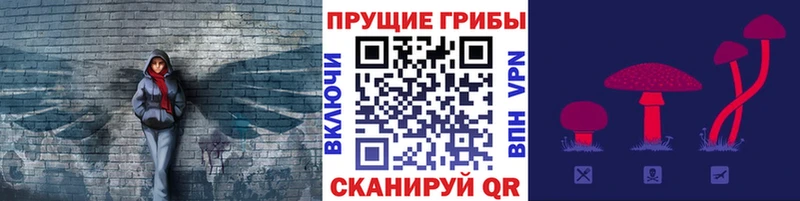Псилоцибиновые грибы прущие грибы  сайты даркнета телеграм  Сунжа 