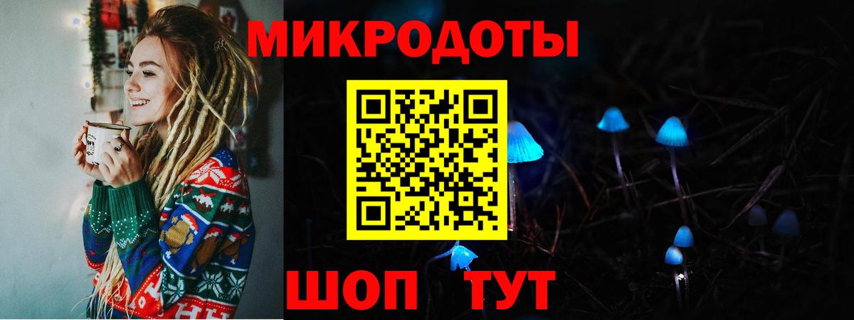 Сунжа  Галлюциногенные грибы прущие грибы  купить наркотик  Вход с VPN 