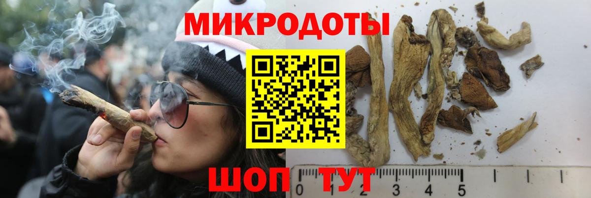 Псилоцибиновые грибы прущие грибы  Псилоцибиновые грибы Psilocybe  Сунжа 