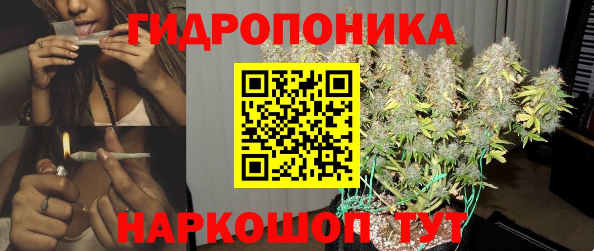 Бошки Шишки THC 21% Сунжа
